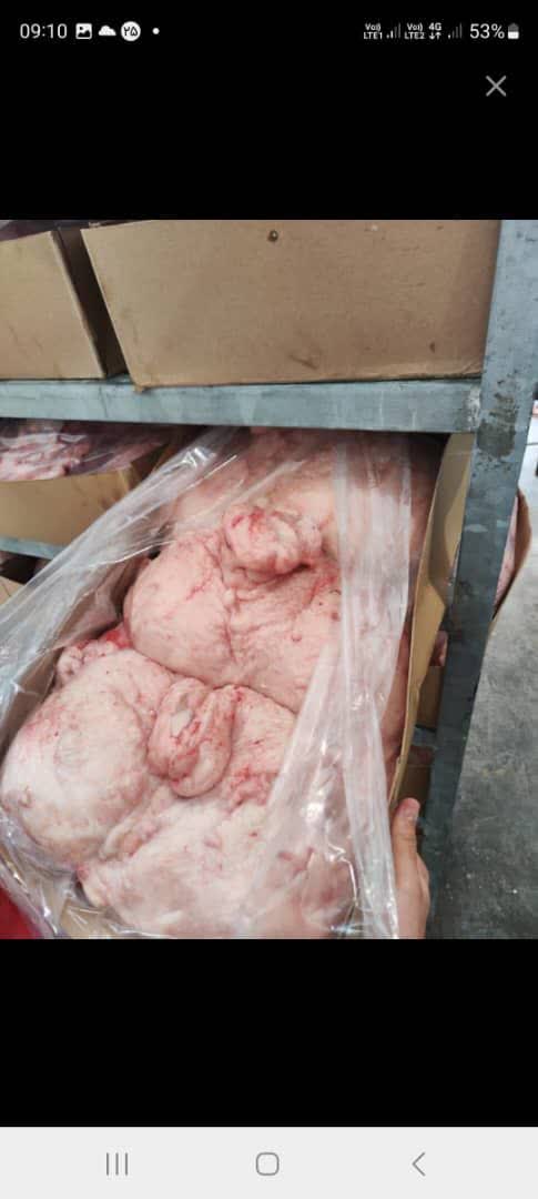 دنبه گوسفندی