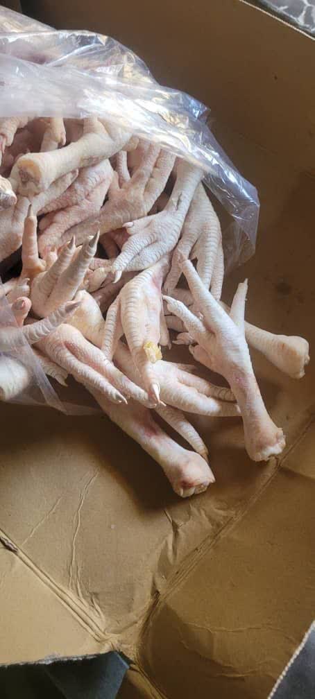 پا و پنچه مرغ