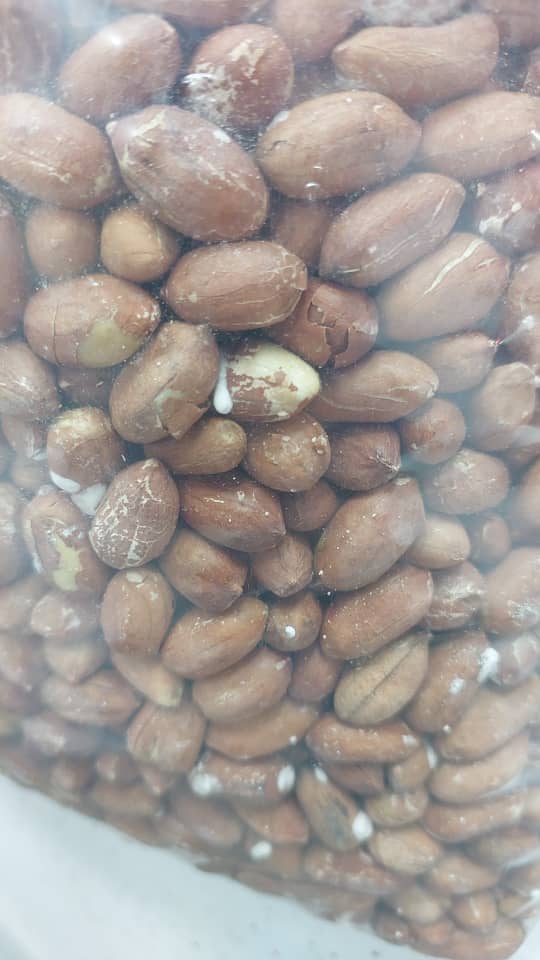 بادام زمینی