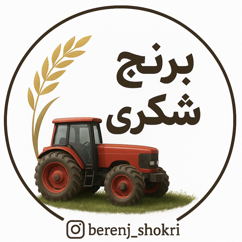برنج شکری 