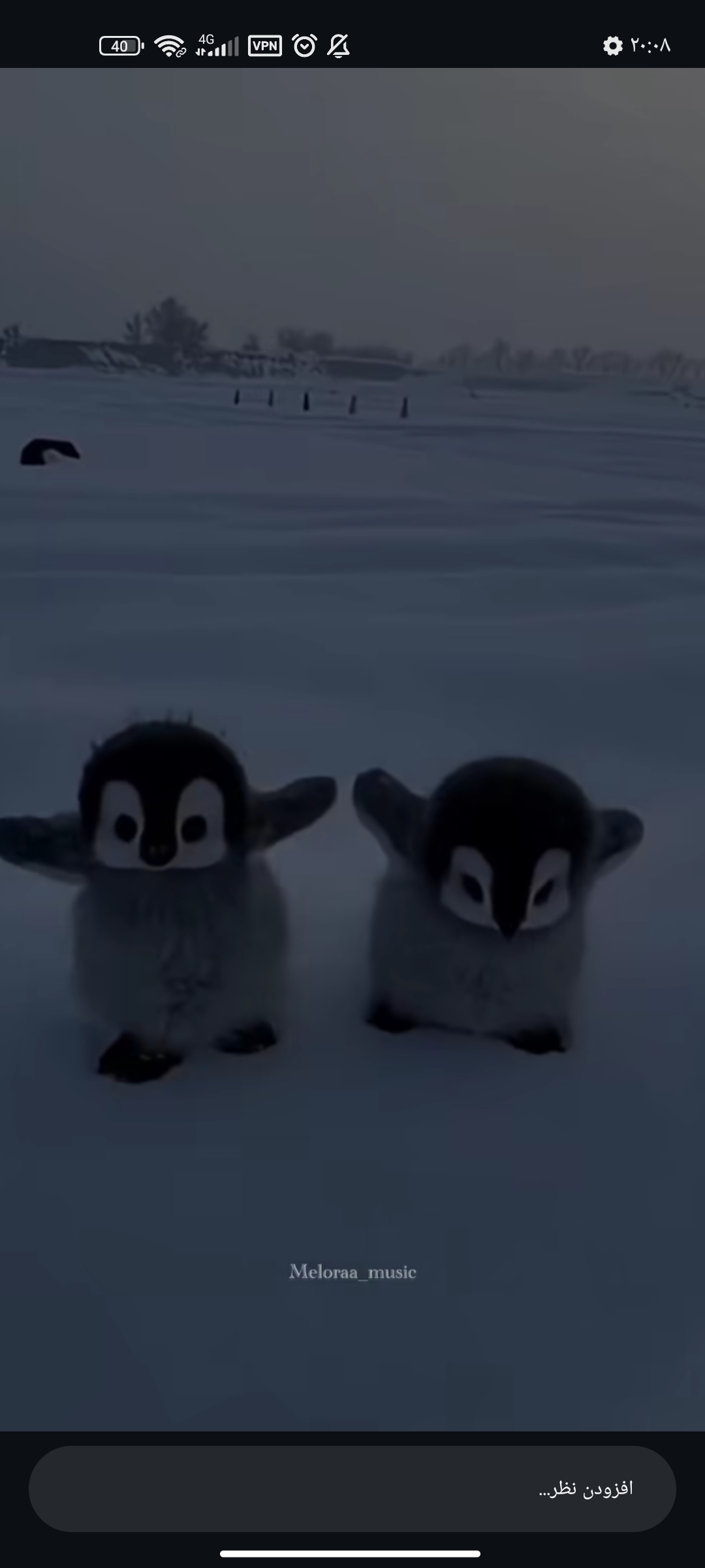 پنگوئن امپراتور