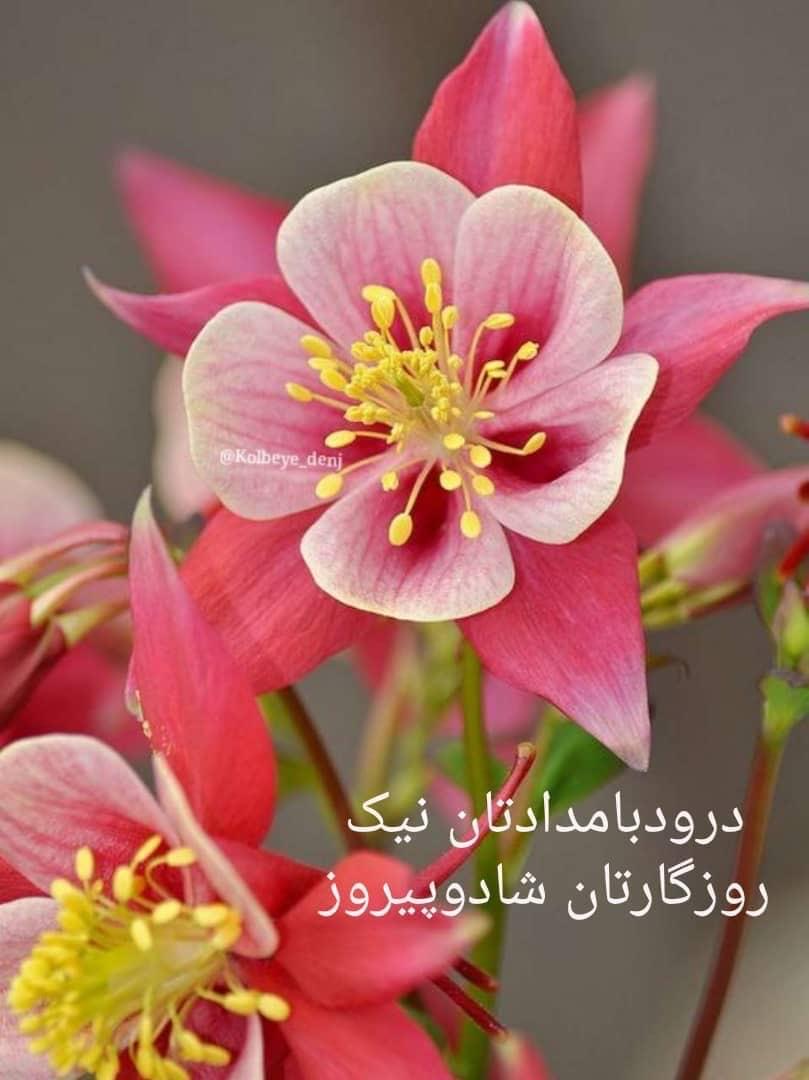  بازاریابی دیجیتال 