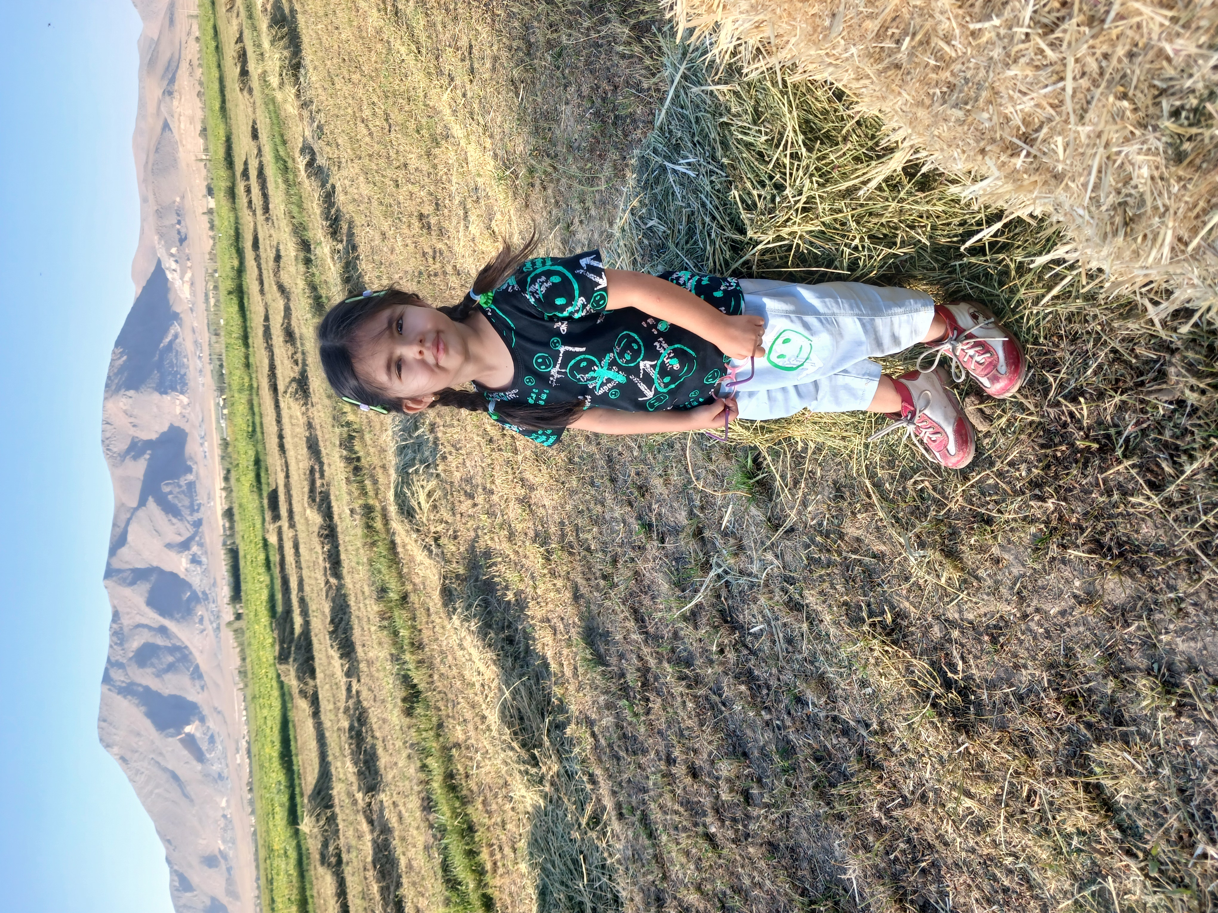 سرزمین برنج