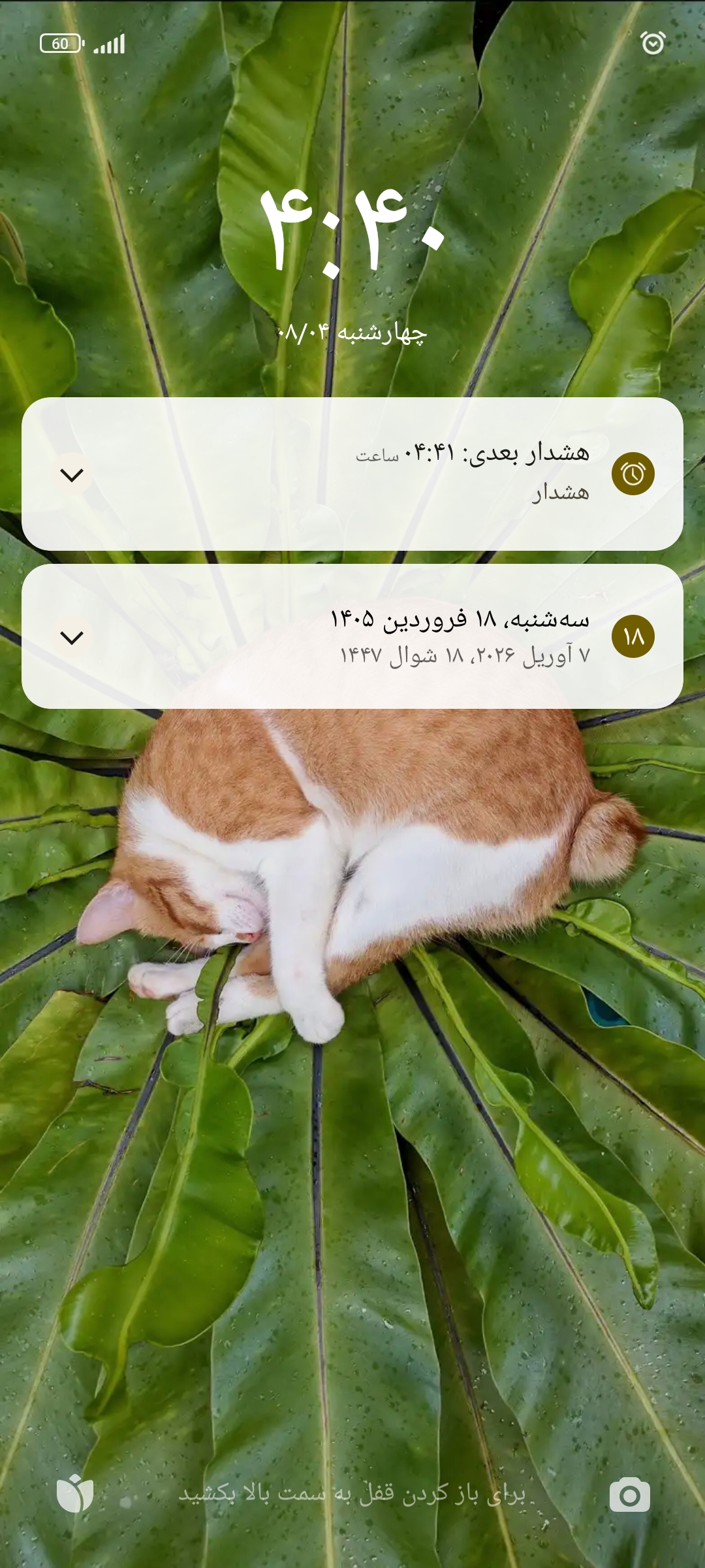 اپلیکیشن های اسلامی