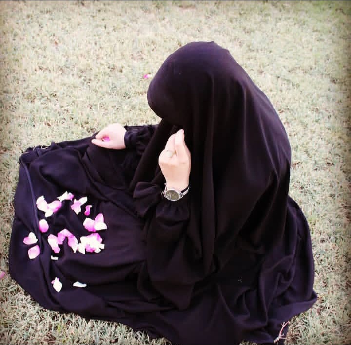 هنرعکاسی 
