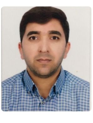 علی عبدالعلی زاده راینی