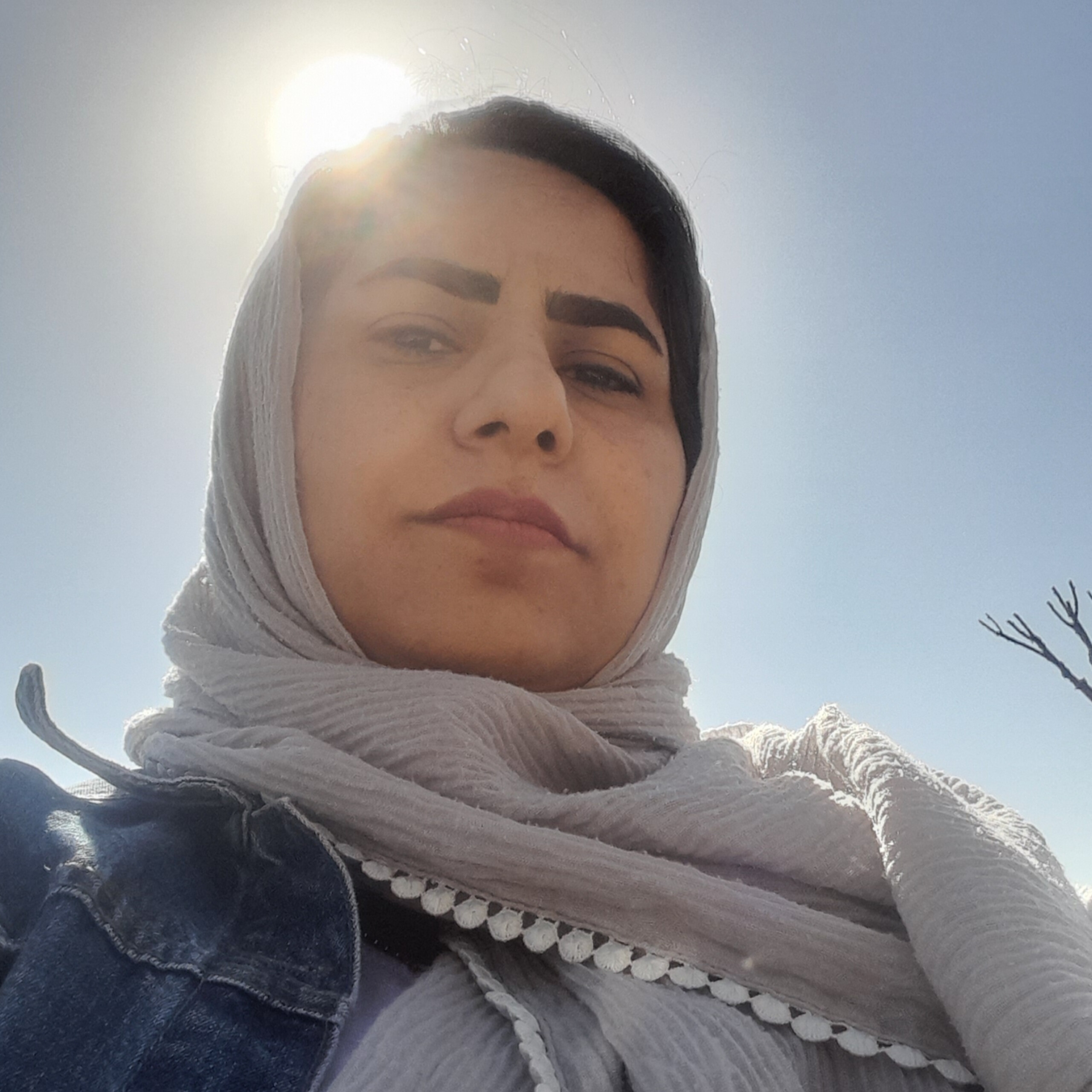 مشاورونماینده