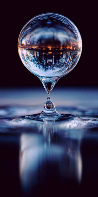 پانسمان نوین