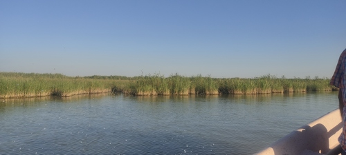 گردشگری