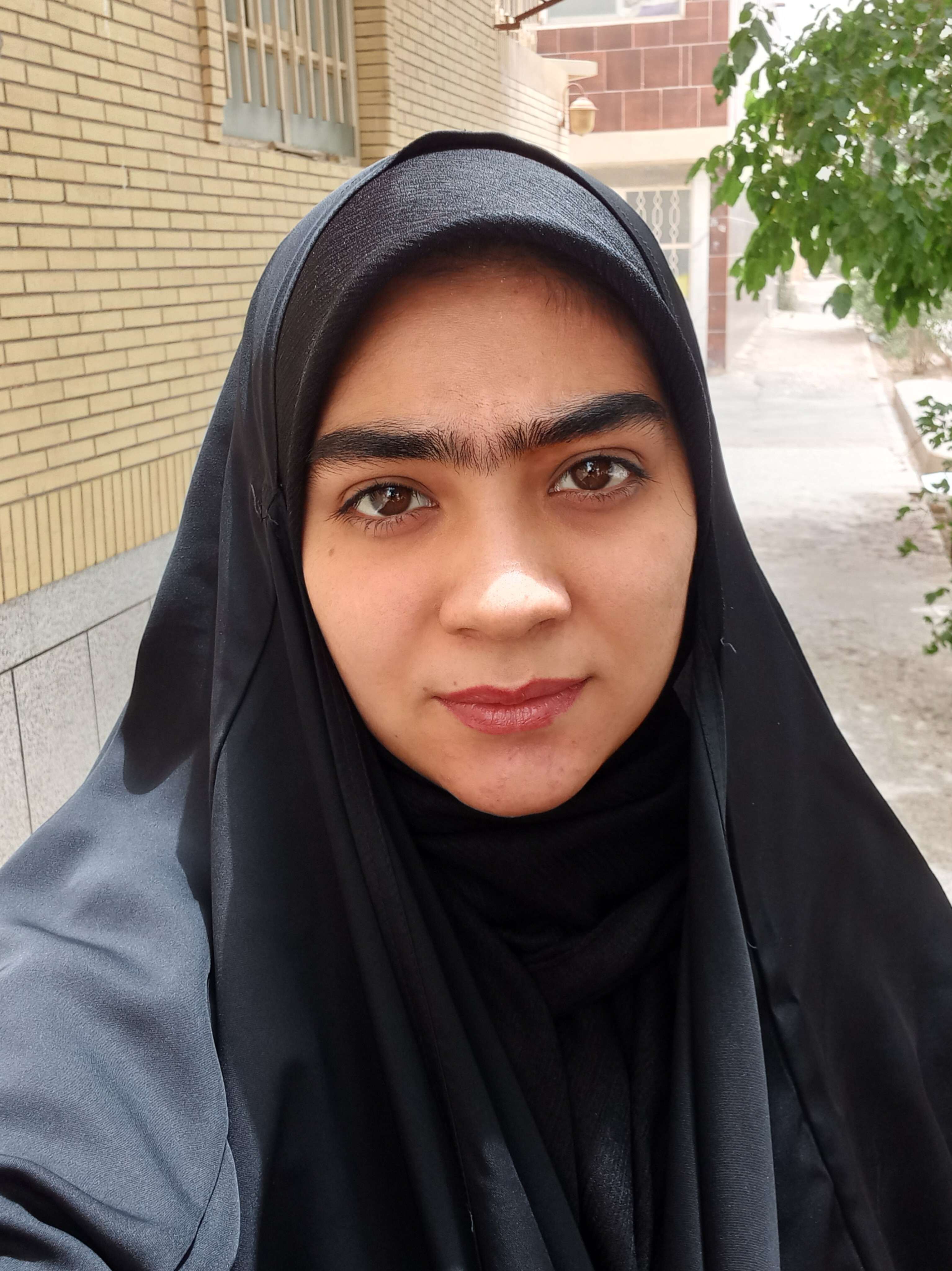 دانش بنیانGTNA
