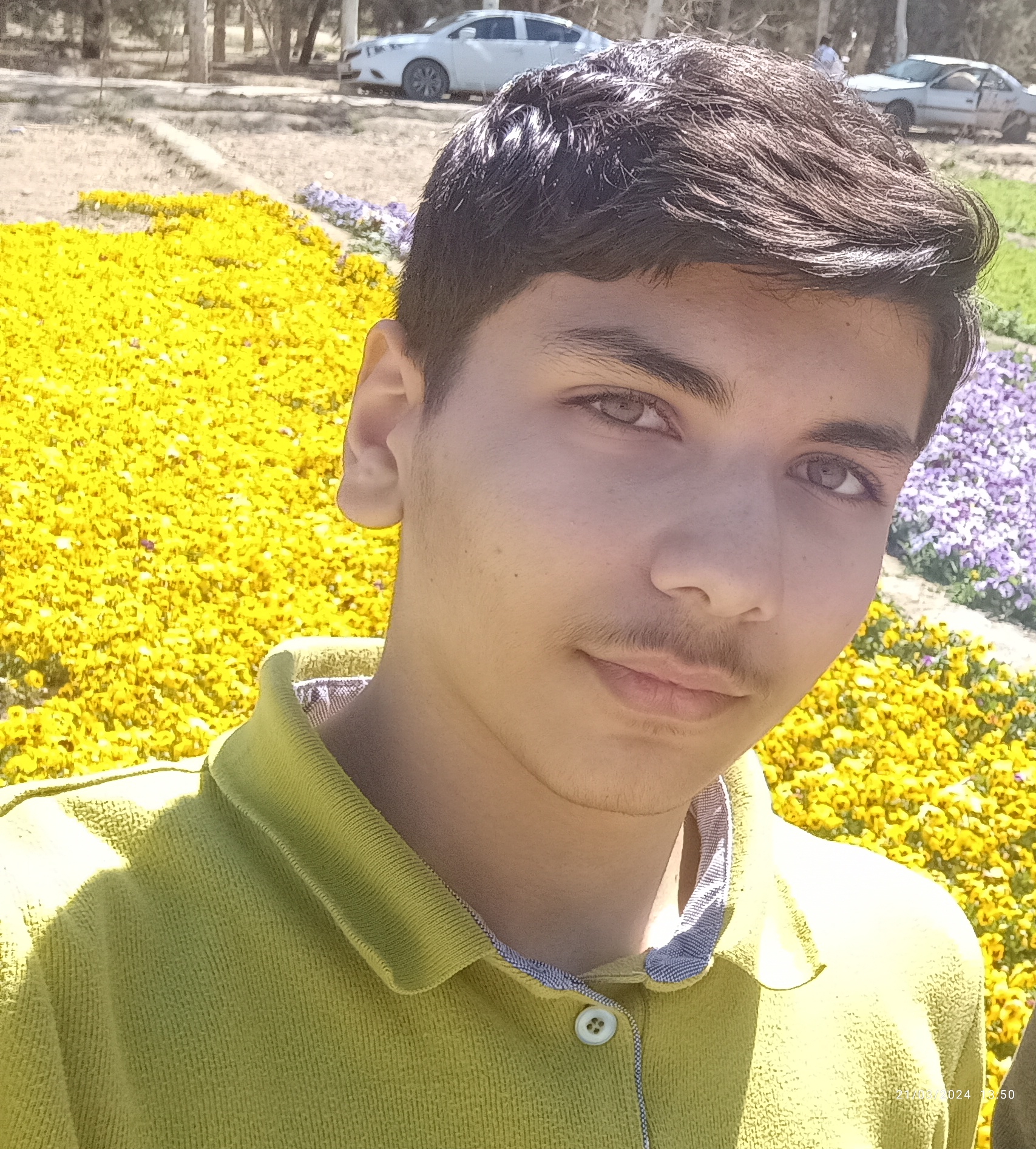 مجتبی ضرغامی 