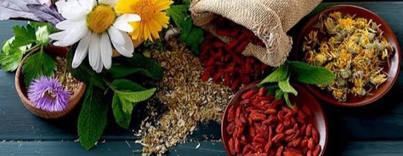 گیاهان دارویی رستا