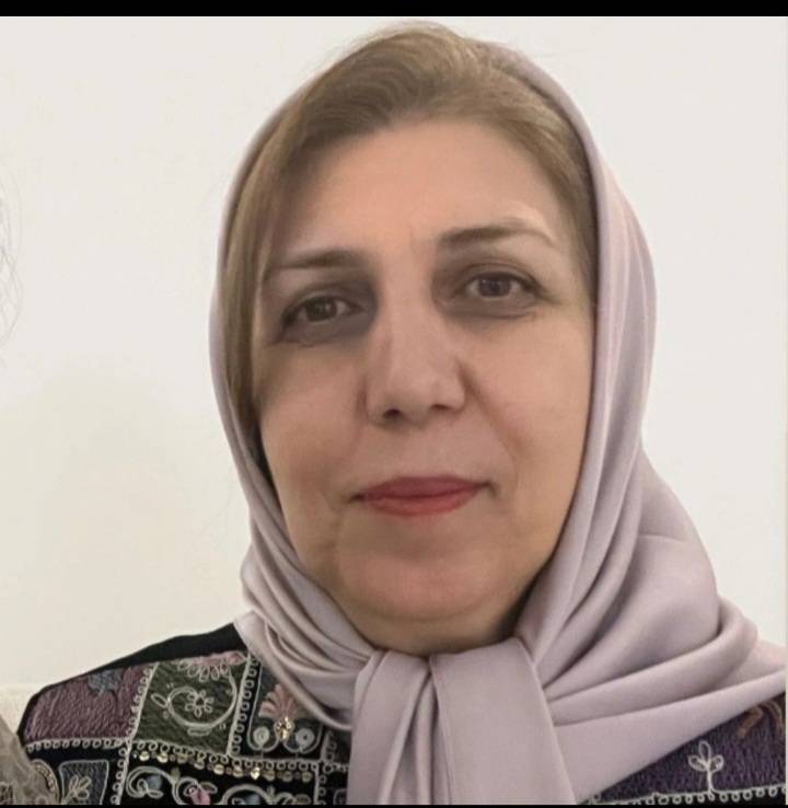 نظری پلاس