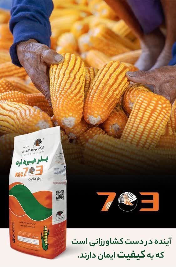 بذر زرت