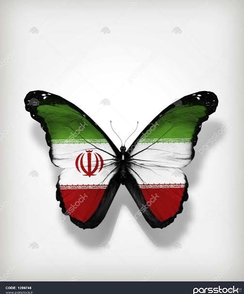 کفش شنبه