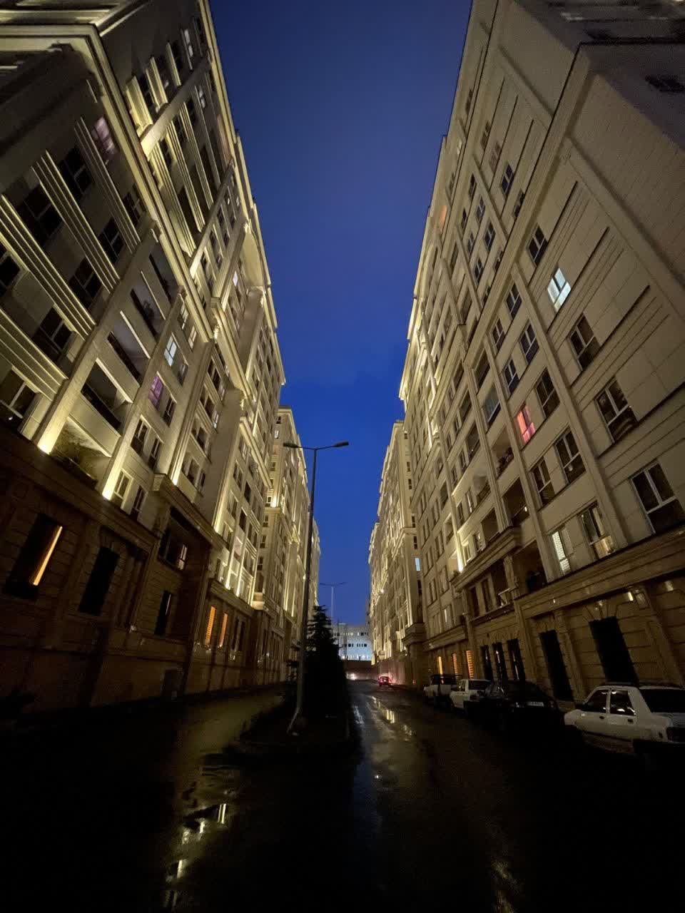 رونیکاپالاس