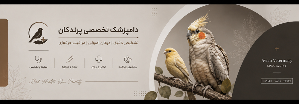 دکتر حامد بهره مند