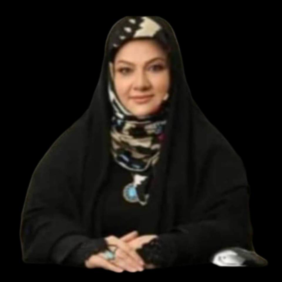 شرکت گسترش طراحان نقش الماس 