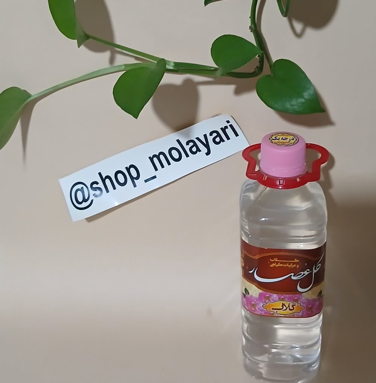 گلاب ممتاز و درجه یک