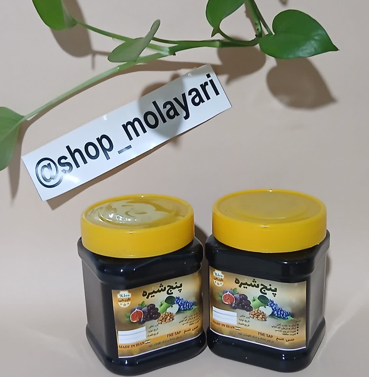 پنج شیره یک کیلویی 