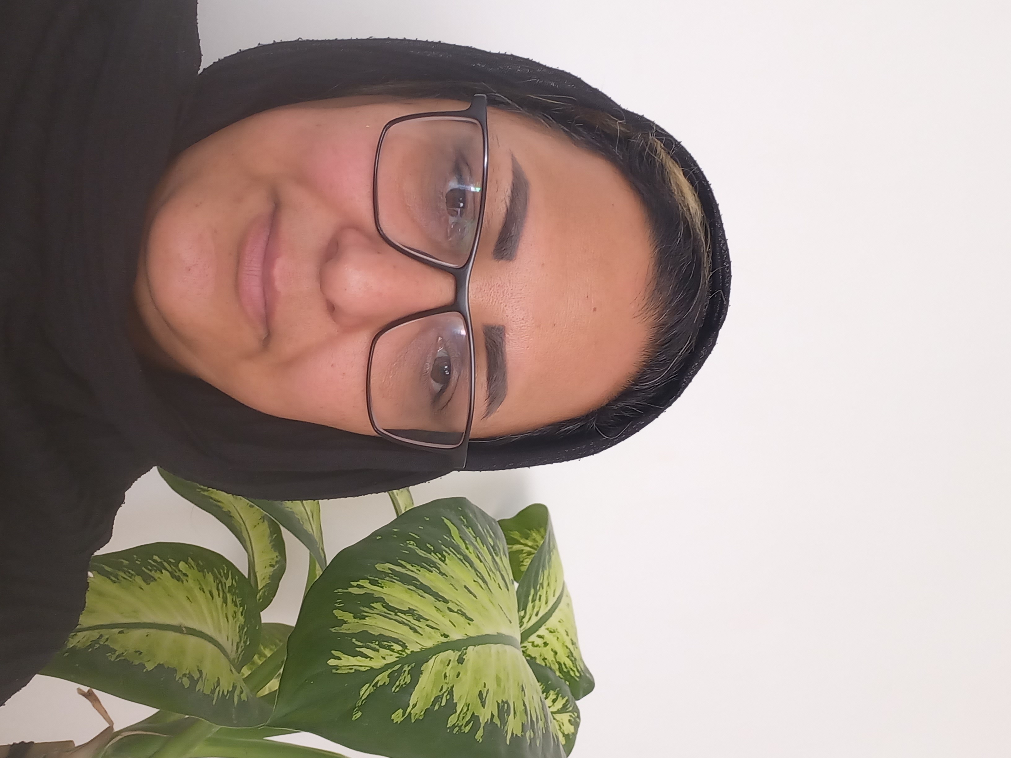 دانش بنیان گسترش طراحان نقش الماس