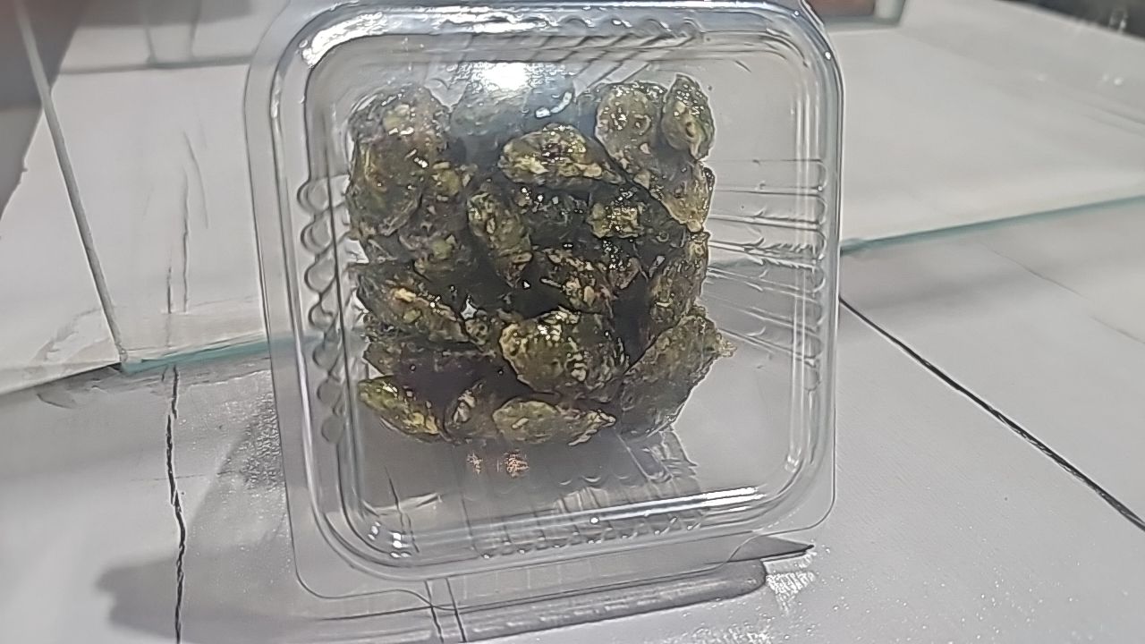 آبنات پسته