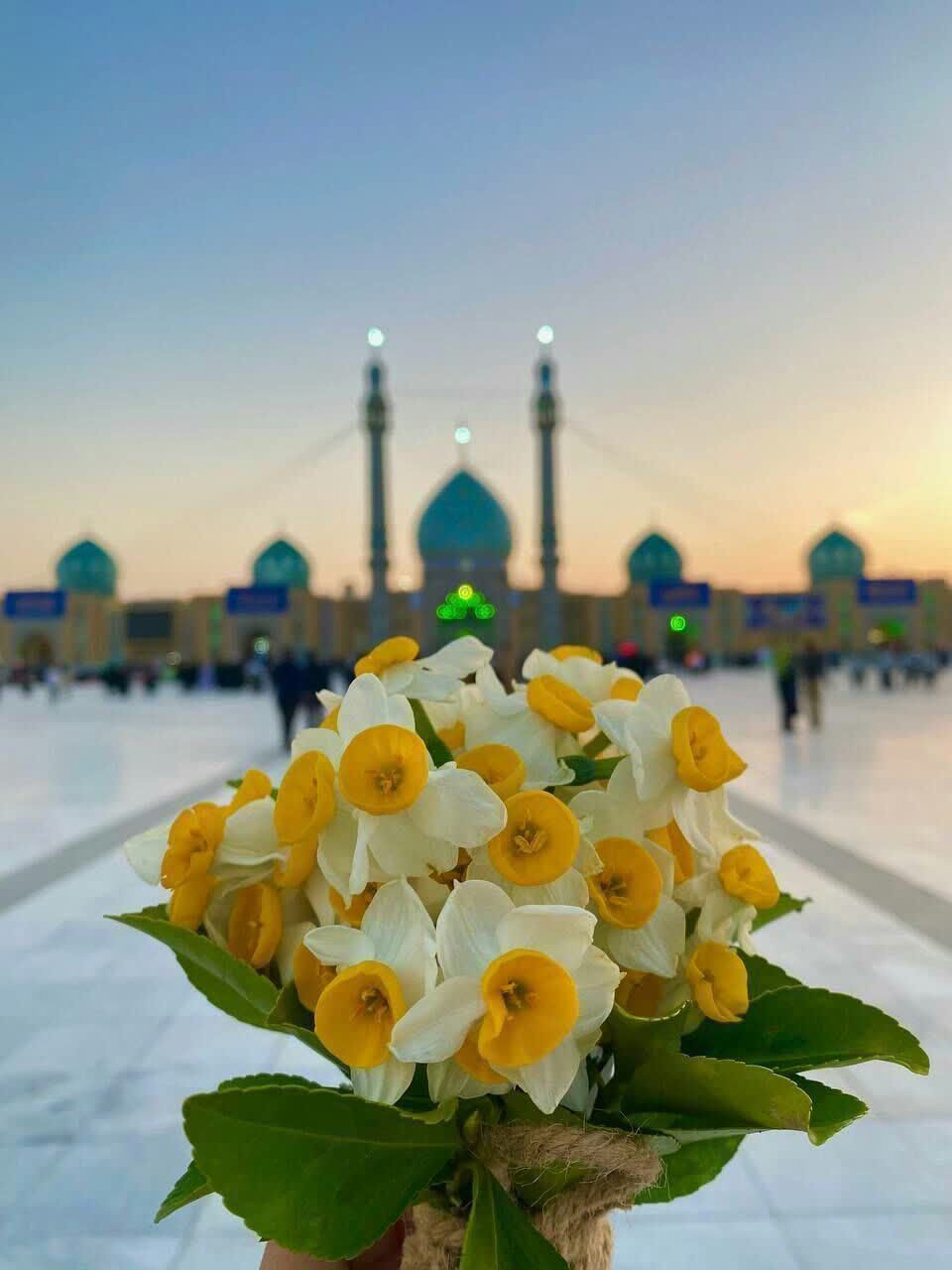 کارشناس آی نوتی 