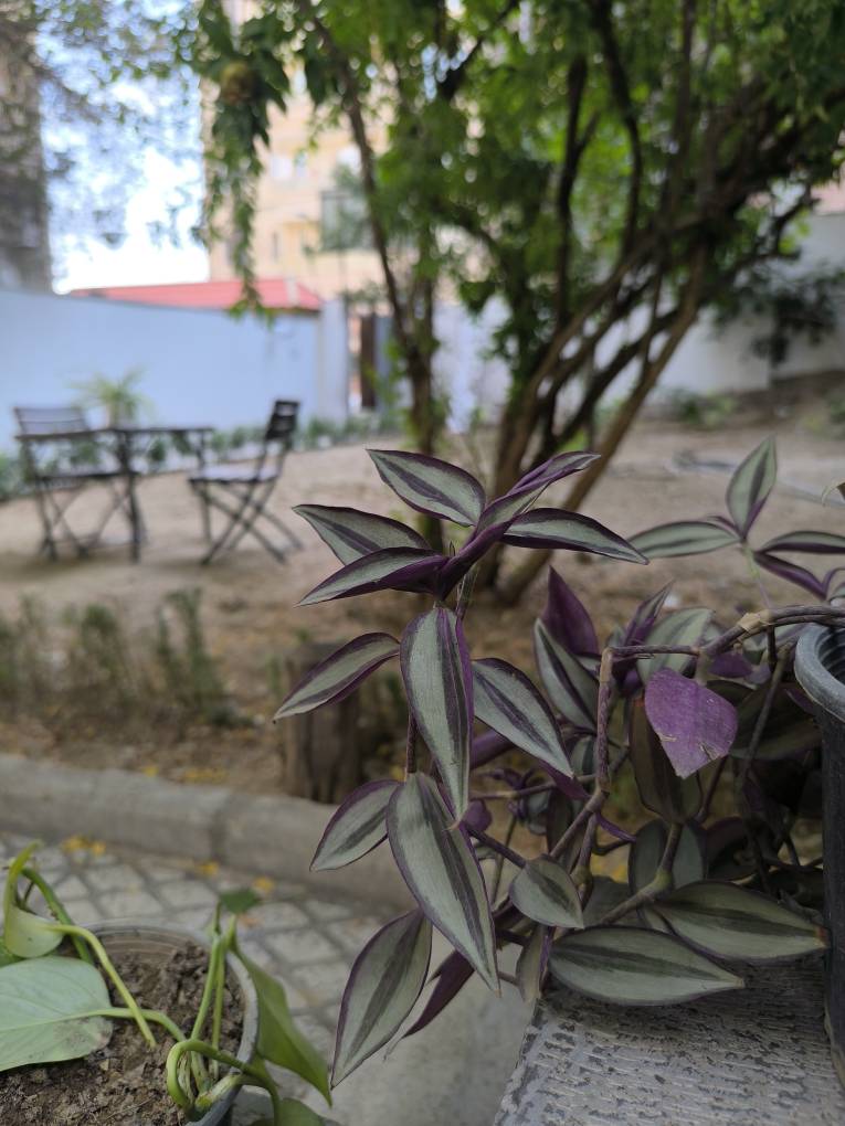 فضای بیرون