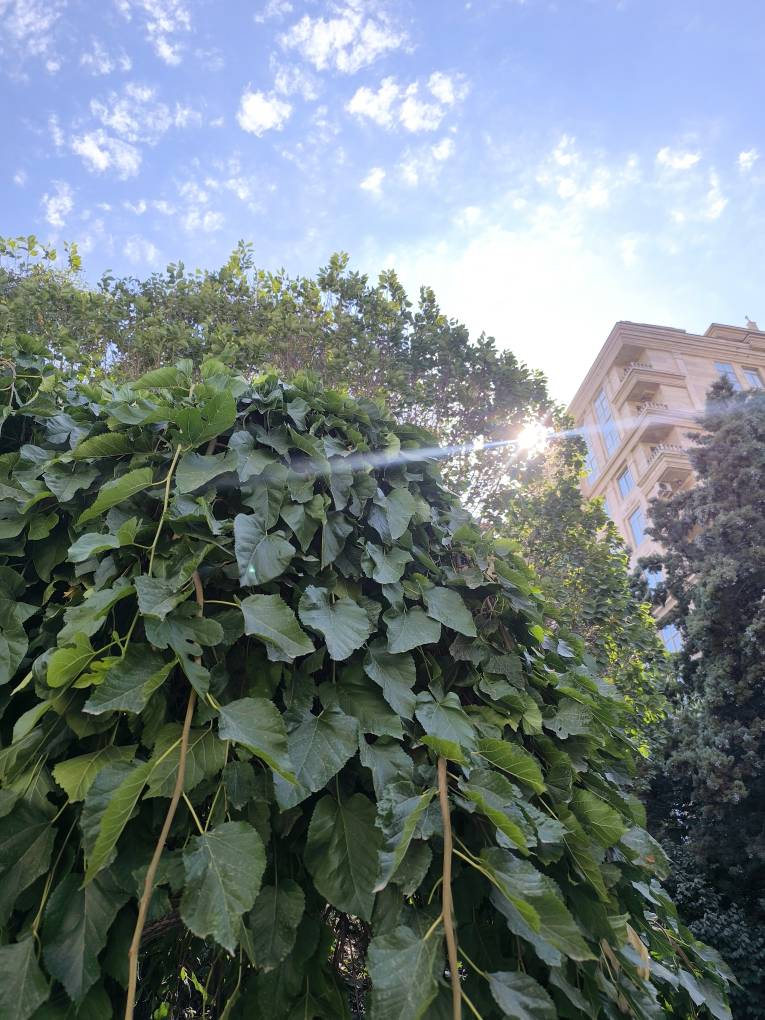 فضای بیرون