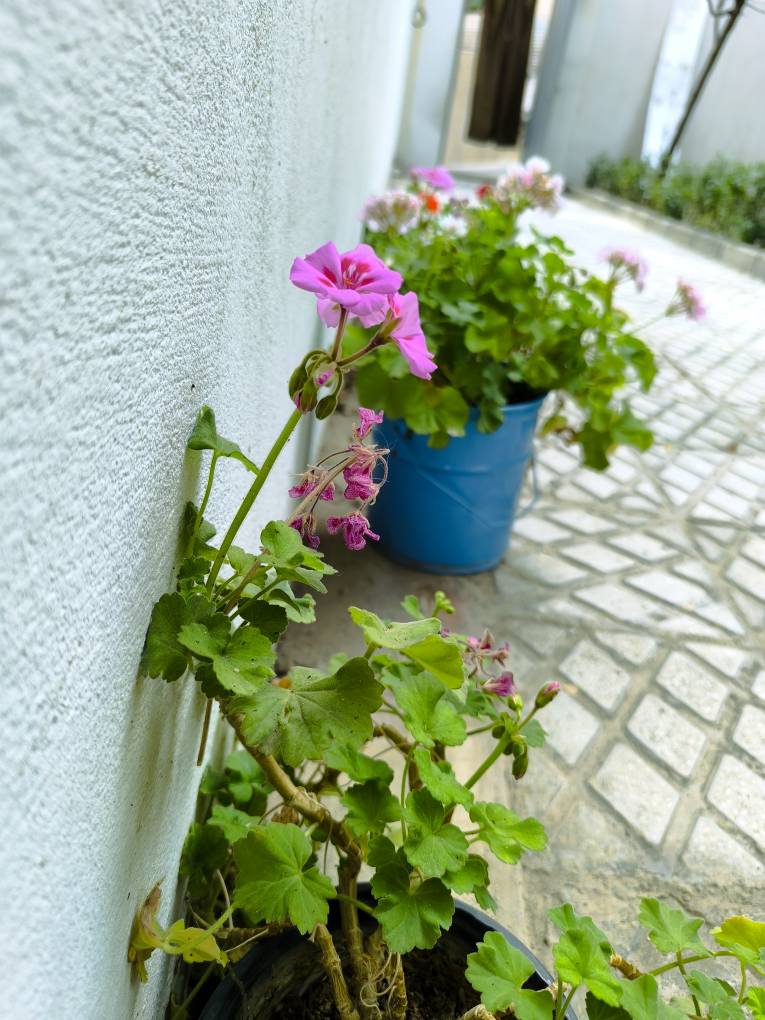فضای بیرون