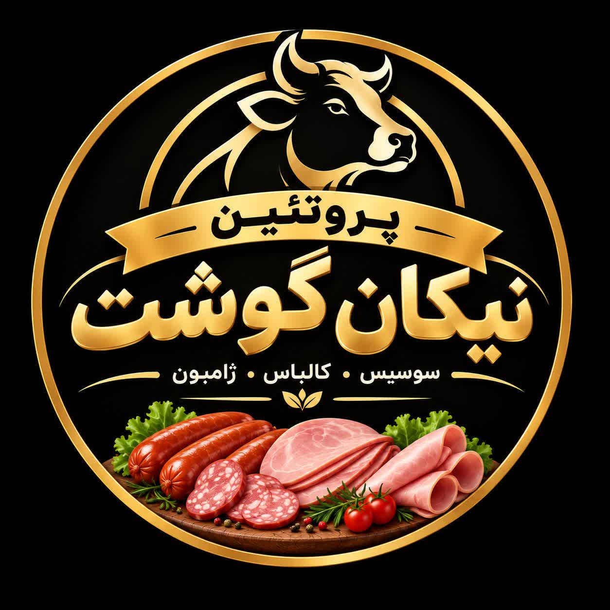 پروتئینی نیکان گوشت 