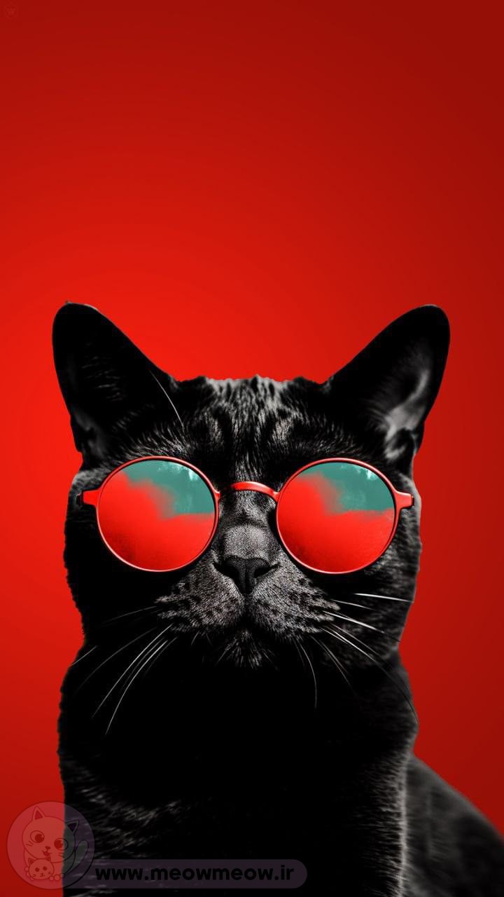 ماسک
