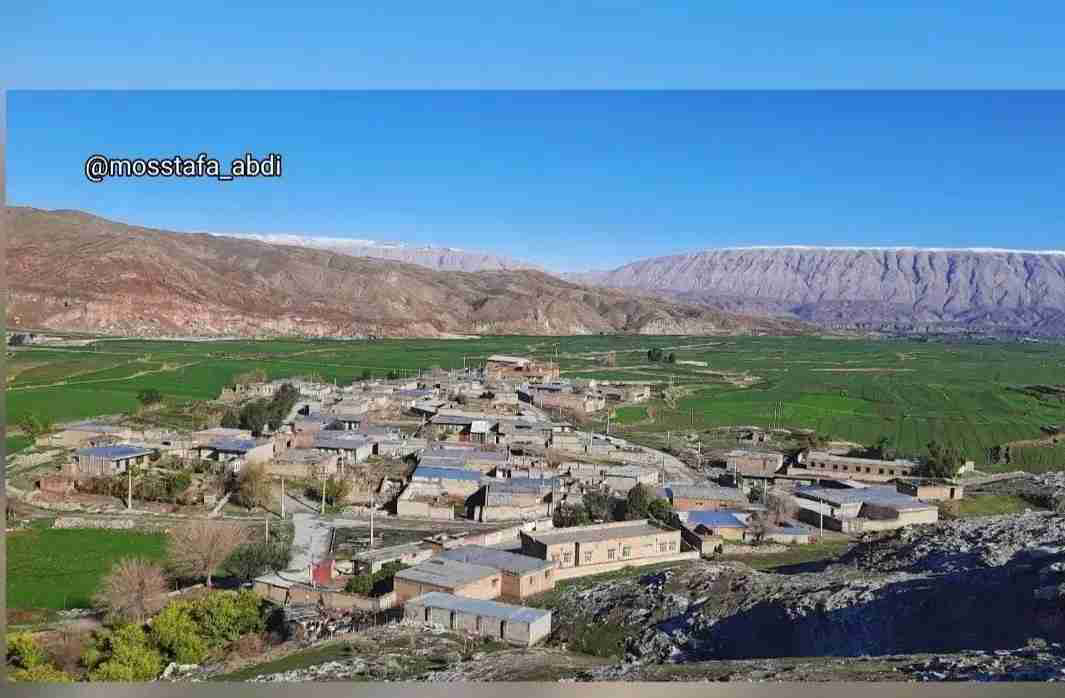 خدمات دامداری