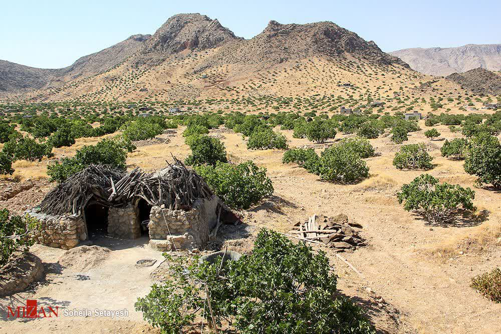 تعاونی باغداران استهبان