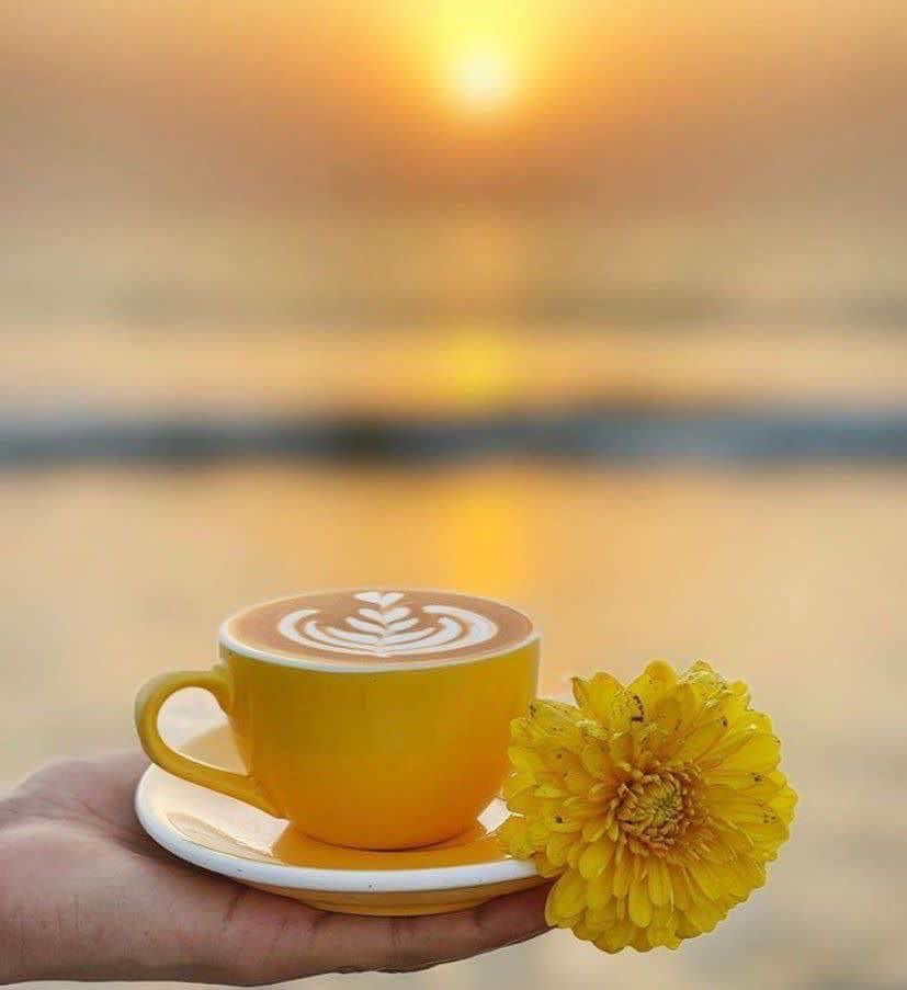 دل نوشته