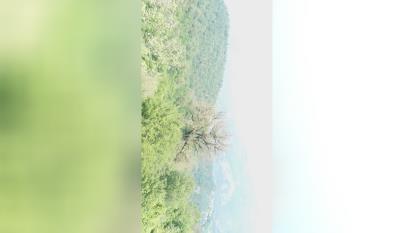 طبیعت