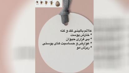 کنه