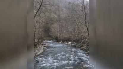 طبیعت زیبا و دیدنی