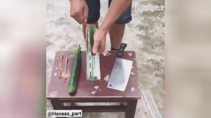 میوه با شکلهای هندسی و حیوان👌👌