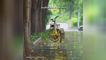 الهی همیشه بخندین