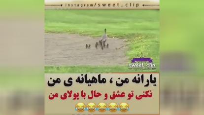 #طنز #دبله #دابسمش
