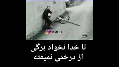 تاخدانخواد برگ از درخت نمیفته