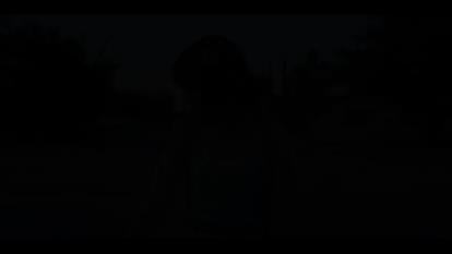 Stargirl Trailer