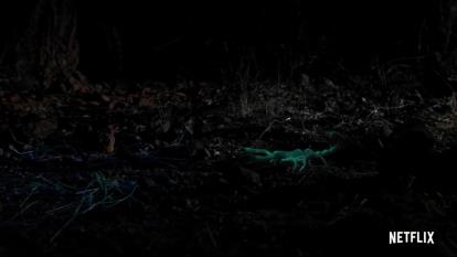 Night on Earth