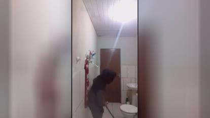 مثلا گربه آورده بود موش و بگیره😂😂