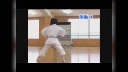 karate - kata - Heian 1,2,3,4,5