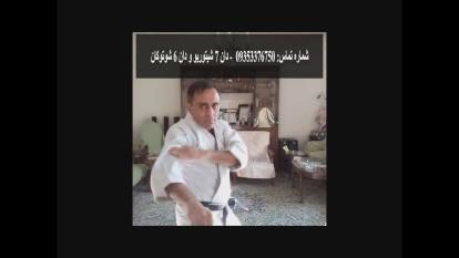 اجرای بخشی از کاتای تکی ساندان از سبک شوتوکان توسط امیر حسین البرز - Amir Hossei