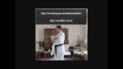 امیر حسین البرز Amir Hossein Alborz-Nijushiho