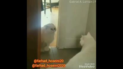 صداگذاری باحال دوبله مشهدی😂😂😂😂😂