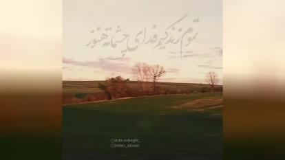 امین محمودی سرم رو شونته